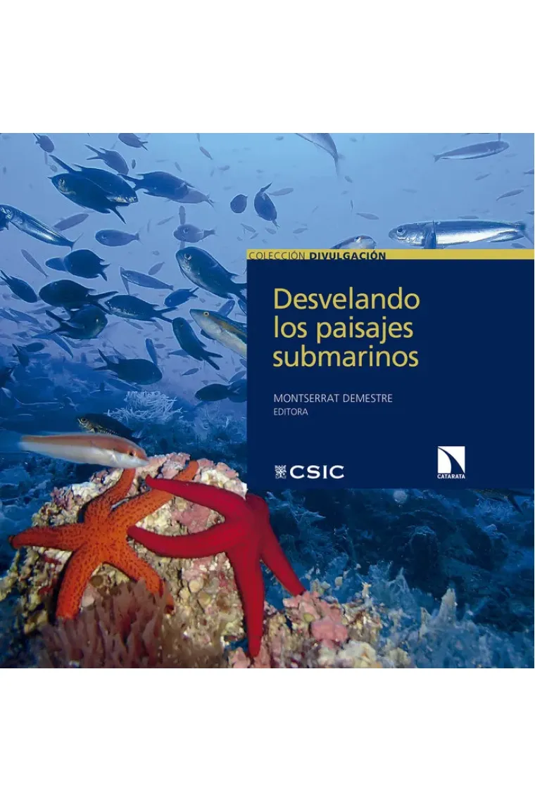 DESVELANDO LOS PAISAJES SUBMARINOS